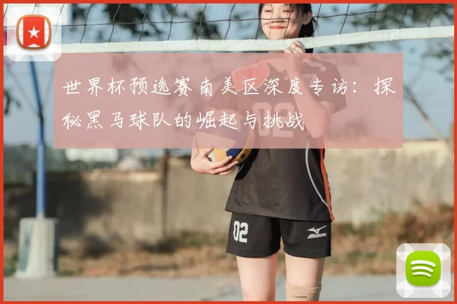 世界杯预选赛南美区深度专访：探秘黑马球队的崛起与挑战