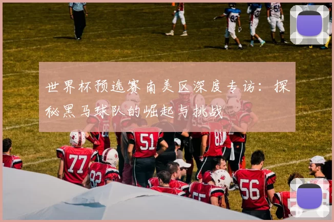 世界杯预选赛南美区深度专访：探秘黑马球队的崛起与挑战