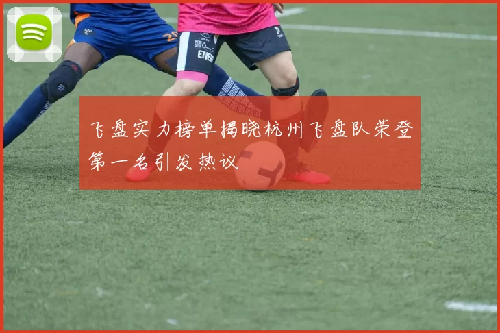 飞盘实力榜单揭晓杭州飞盘队荣登第一名引发热议