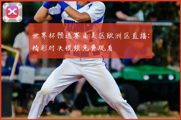 世界杯预选赛南美区欧洲区直播：精彩对决视频免费观看