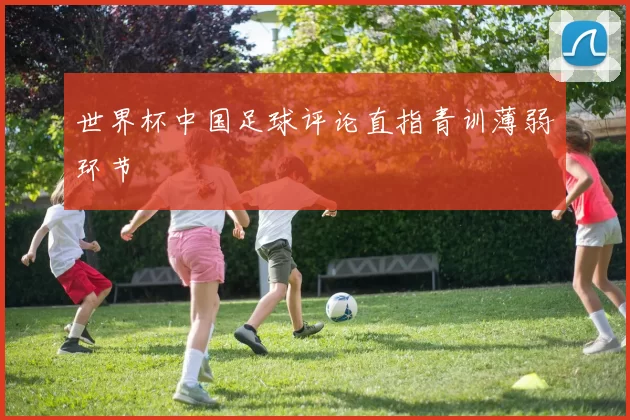 世界杯中国足球评论直指青训薄弱环节