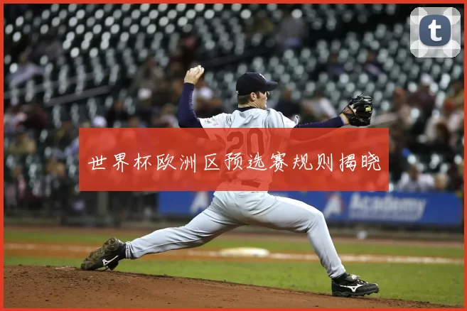 世界杯欧洲区预选赛规则揭晓