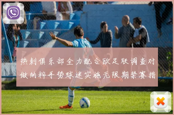 热刺俱乐部全力配合欧足联调查对做纳粹手势球迷实施无限期禁赛措施