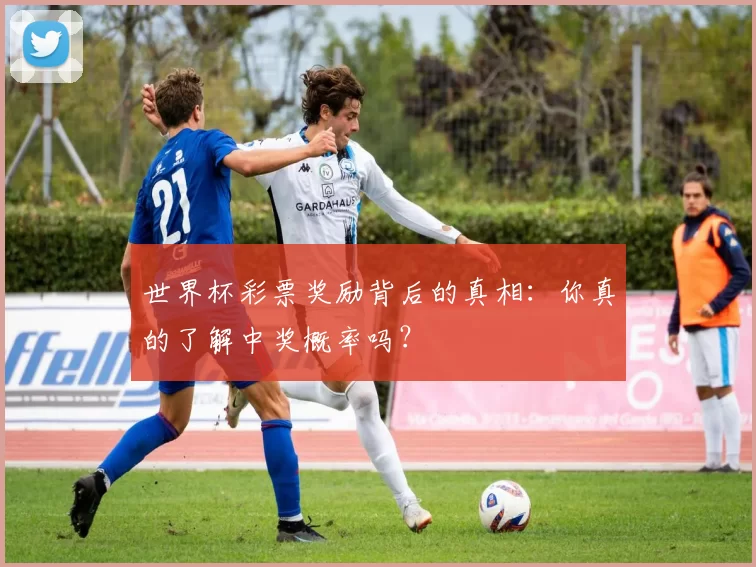 世界杯彩票奖励背后的真相：你真的了解中奖概率吗？