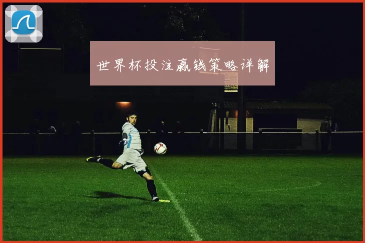 世界杯投注赢钱策略详解