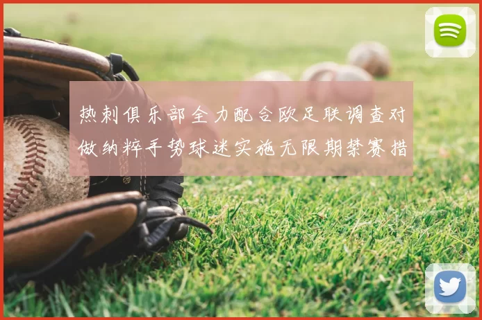 热刺俱乐部全力配合欧足联调查对做纳粹手势球迷实施无限期禁赛措施