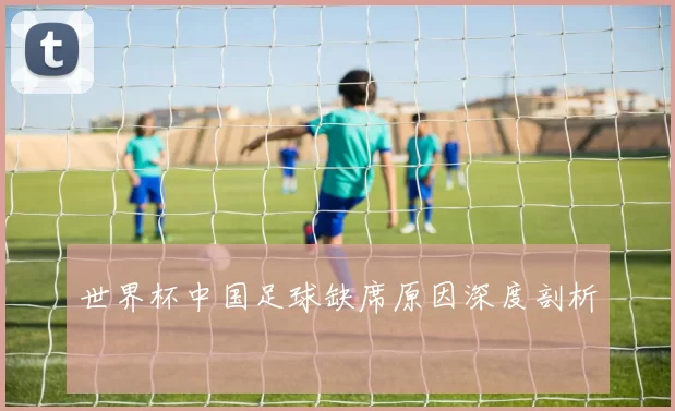 世界杯中国足球缺席原因深度剖析