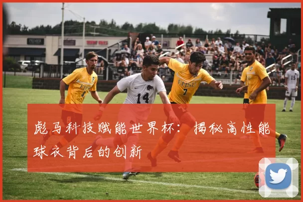 彪马科技赋能世界杯：揭秘高性能球衣背后的创新