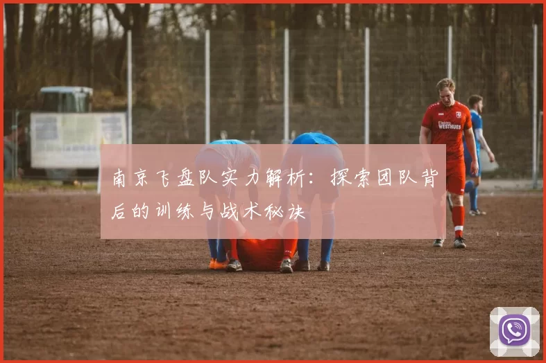 南京飞盘队实力解析:探索团队背后的训练与战术秘诀